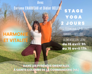 Stage yoga Vitalité Harmonie